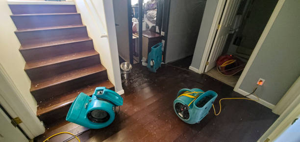 Best Fire Damage Restoration  in Fort Clark Springs, TX