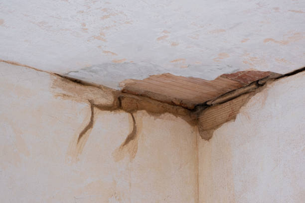 Best Ceiling water damage repair  in Fort Clark Springs, TX