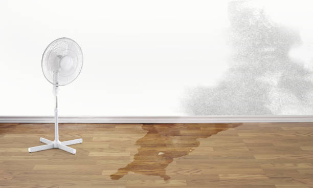 Best Water damage restoration near me  in Fort Clark Springs, TX